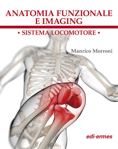 Anatomia funzionale imaging - anatomia,