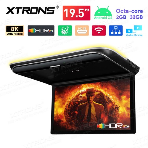 Schermo ips tetto auto - 19,5",