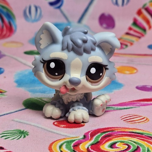 Littlest pet shop autentico - littlest,