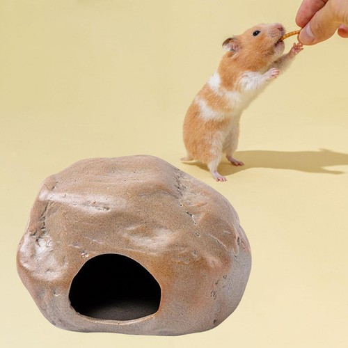 Criceto grotta paesaggistica - grotta,