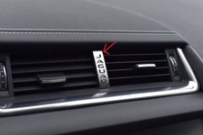 Placca jaguar pace - jaguar, first