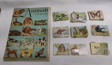 Album Figurine ANIMALI NEL MONDO Ed. EDIMAR anni '60 originale DA RECUPERO 