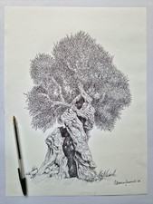 Ulivo salentino disegno con - ulivo,