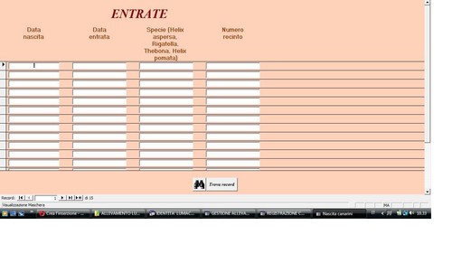 Software gestionale gestione - software,