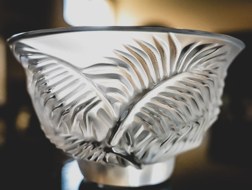 Lalique france kelapa - france, ciotola