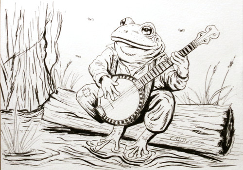 Rana originale che gioca banjo