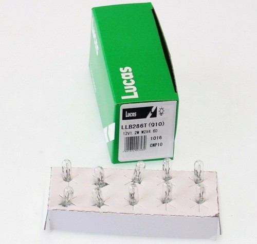 Lampadine lampade luci - lampadine,