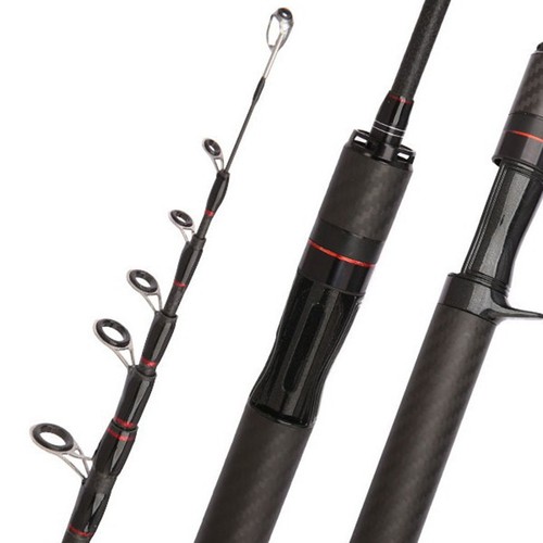 Canna pesca compatta in - canna,