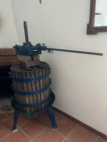 Torchio tradizione per uva - torchio,