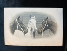 ANTIQUE POSTCARD THREE HORSES