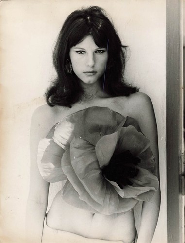 Stefania sandrelli photo still - sandrelli,