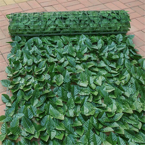 Siepe oscurante 1x6 - , m