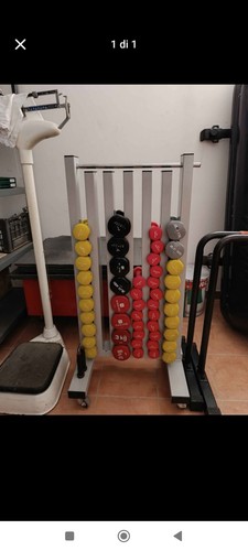 Manubri 2kg e 3kg - 2kg,