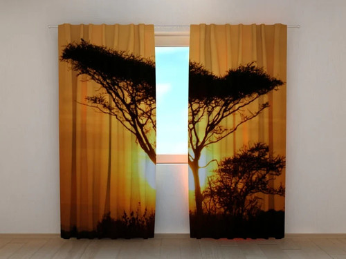 Tende albero tramonto - albero,