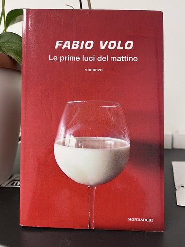 Fabio volo romanzo - fabio,