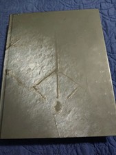 Bloodborne Edizione da