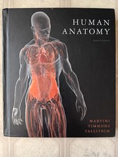 Human Anatomy Textbook Martini