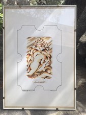 Dipinto Pittore Romolo Cerutti