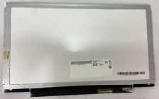 Display Schermo Au Optronics B133XW03 13,3" LCD LED 40 pin per PC Asus U30S