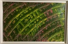 Quadro”astratto “olio su legno 40 x 60 cm compresa cornice 