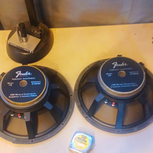 Coppia driver altoparlanti