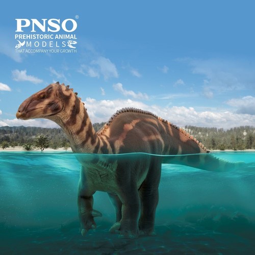 Pnso 2025 bakari - pnso,