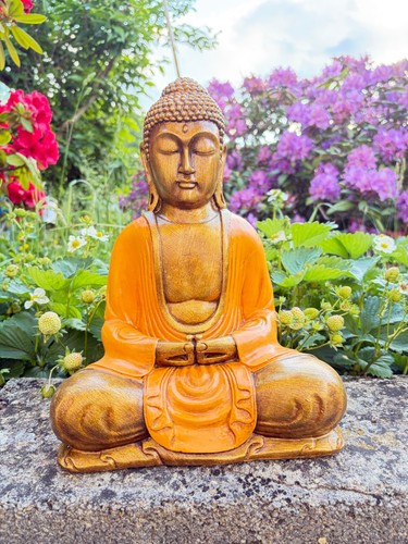 Statua buddha meditazione - statua,