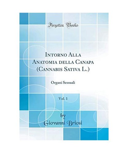 Intorno alla anatomia della - alla,