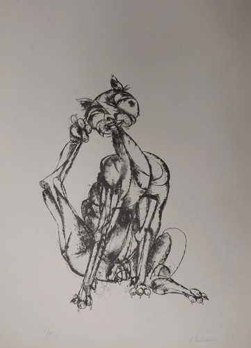 Emanuele pandolfini gatto - emanuele,