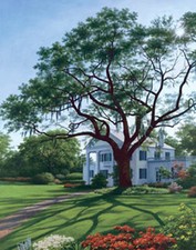 Afternoon Shadows by Bazzaro