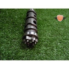 Desmodromico Benelli Leoncino