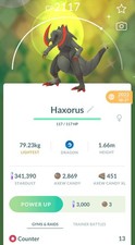 Pokemon shiny haxorus - -,