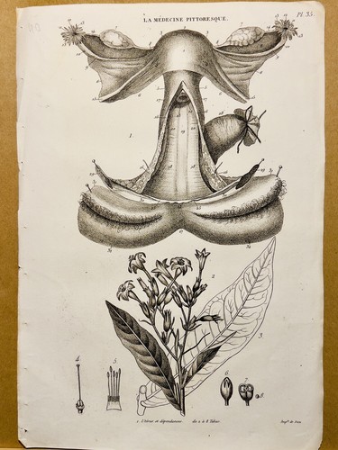Tavolo antico rame 1834 - antico,
