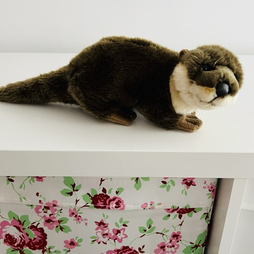 Peluche lontra natura vivente