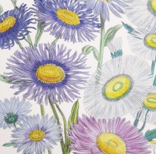 1841, J.W. LOUDON 1° EDIZIONE. FINISSIMO ANTICO ACQUERELLO ORIGINALE PERENNI ANNO