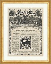 Der Kaufungerwald 1 Reinhardswald Bramwald Soling Bannforsten Jagd Waidmann 0138