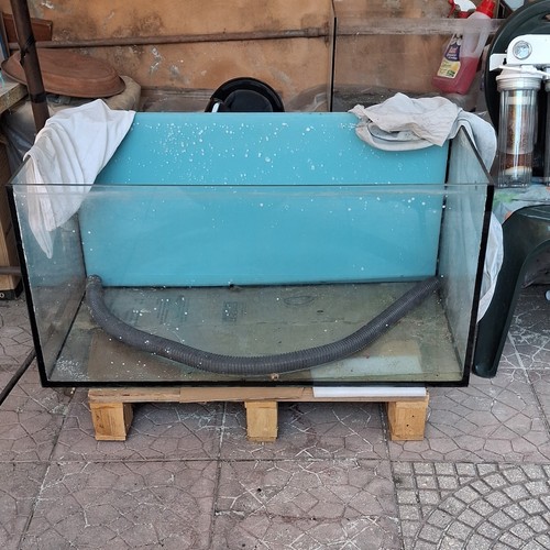 Acquario vuoto vetro - acquario,