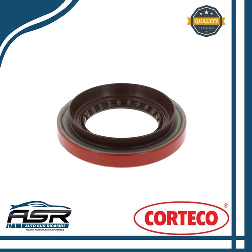 Paraolio anello tenuta - anello,