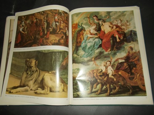 Mondo degli animali nella - degli,