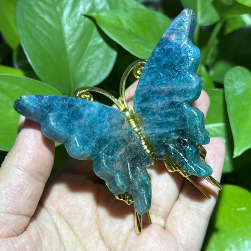 Teschio farfalla apatite blu - farfalla,