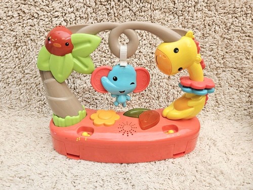 Fisher price roarin - fisher-price, roarin'