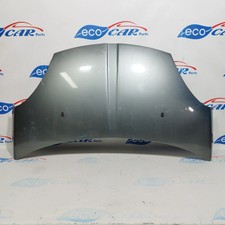 Cofano grigio scuro DR1 anno