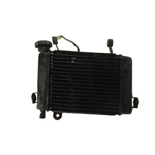 RADIATORE ACQUA+ELETTROVENTOLA