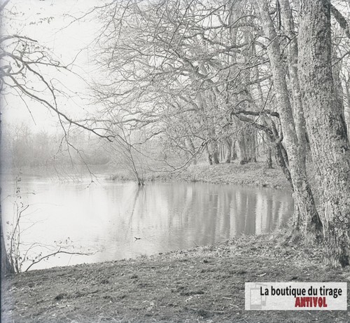 Lotto foto epoca - foto, d’epoca
