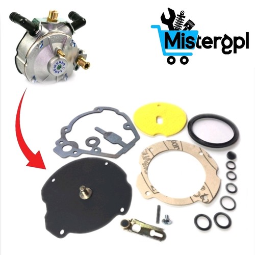 Kit busta revisione landi - busta,