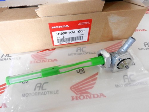 Honda 600 shadow - c,