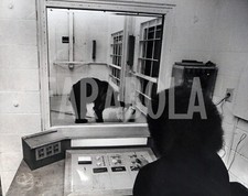 Foto Vintage Animali Giappone Orso Hokkaido in sala prove stampa 20x25 cm