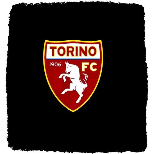 Polsino tergisudore - polsino,