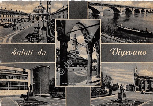 Cartolina postcard saluti - -,