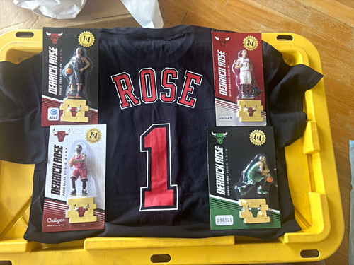 Derrick rose chicago bulls - derrick,